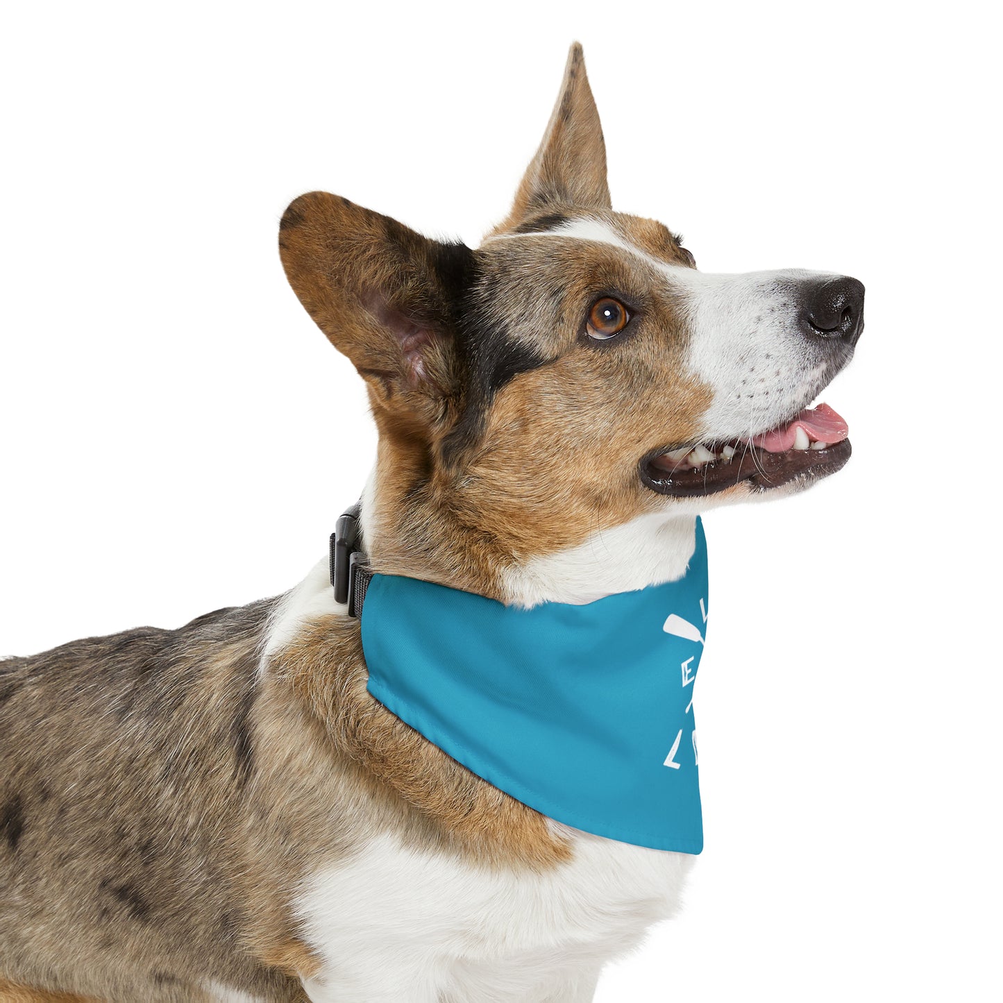 Lake Life Pet Bandana Collar